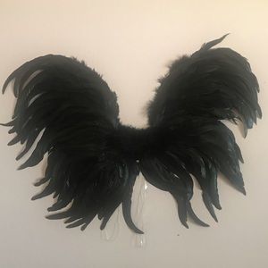 Cosplay/Halloween Wings